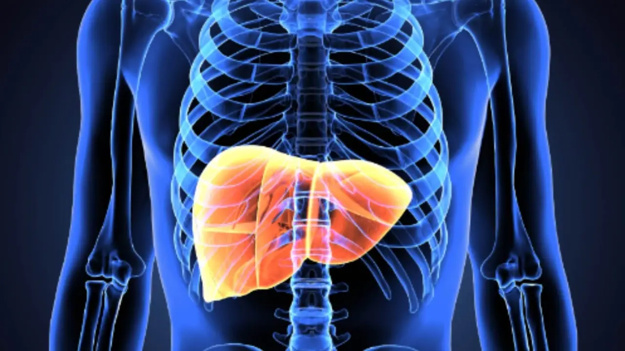 Attenzione: ecco il pane che non fa bene al fegato (e che molti comprano ogni giorno)