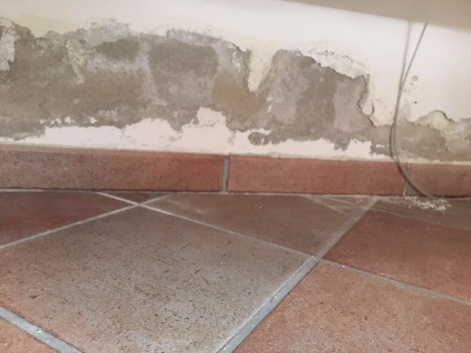 Sai cosa indica la polvere bianca sul pavimento: ecco a cosa stare attento