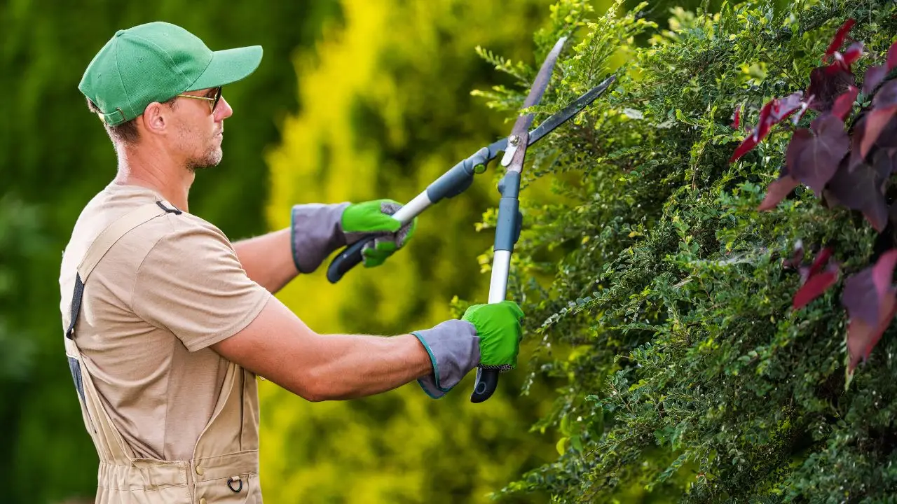 Attenzione a questi costi nascosti quando chiedi un preventivo a un giardiniere