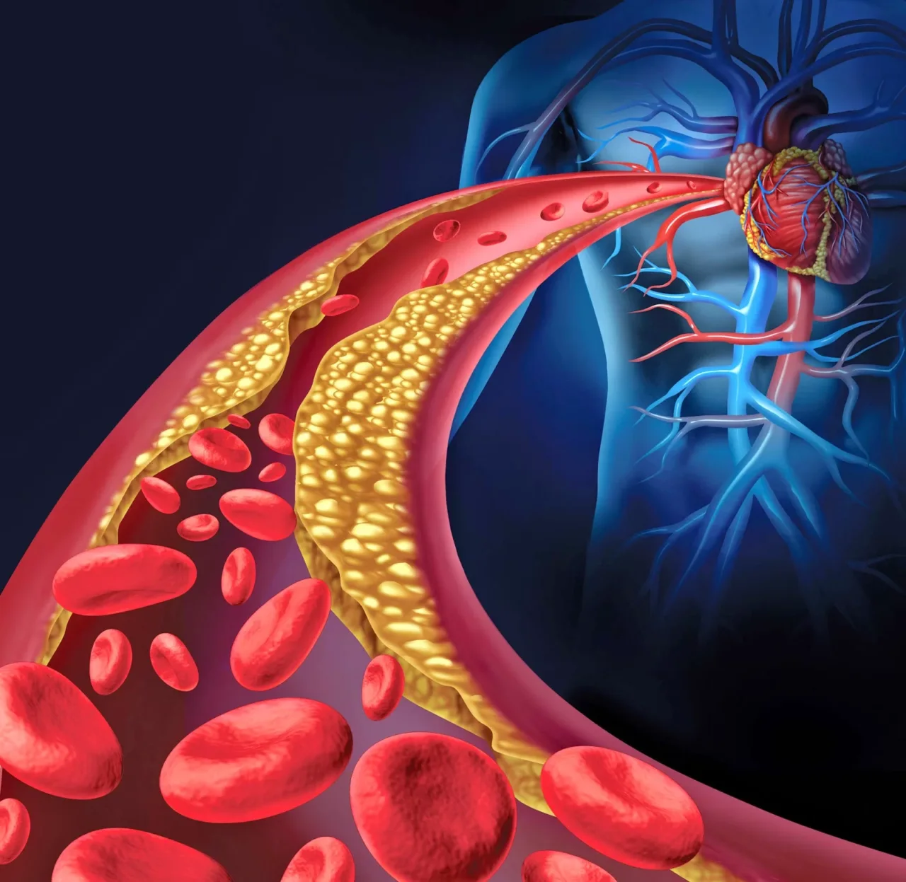 Cosa sono i sintomi cardiovascolari? Ecco l’elenco completo