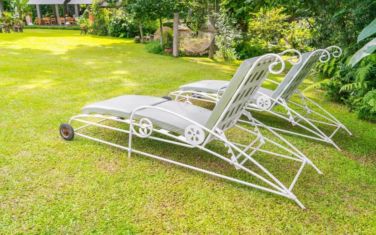 Mai fatto questo al tuo prato? Ecco il segreto nascosto per un’erba verde e fitta